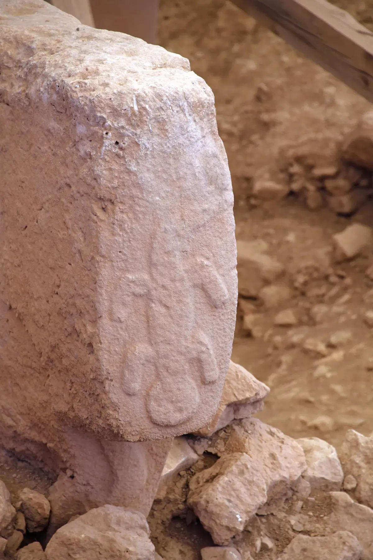 A carved T-shaped pillar with an animal relief in its enclosure, the kind of carving guides explain on Gobekli Tepe tours